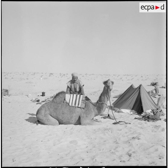 L'école des cadres d'El-Oued. [Description en cours]