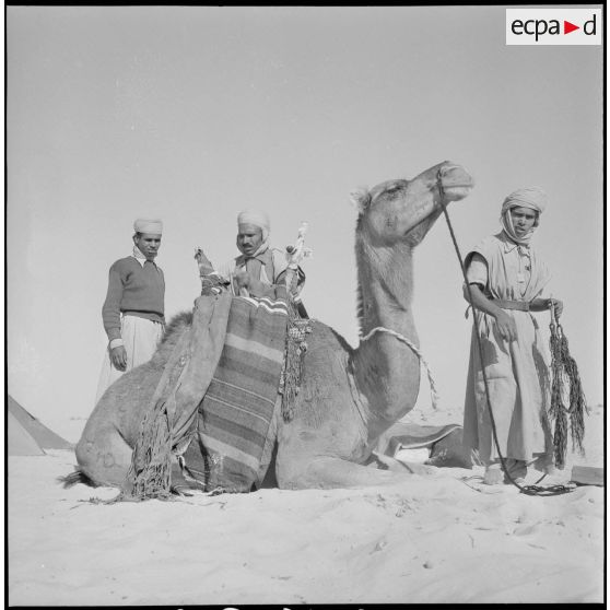 L'école des cadres d'El-Oued. [Description en cours]