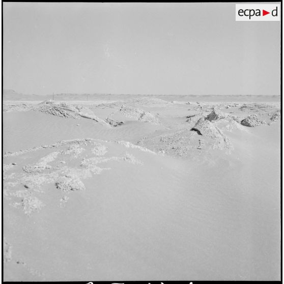 La 2e CAST à Ouargla. [Description en cours]