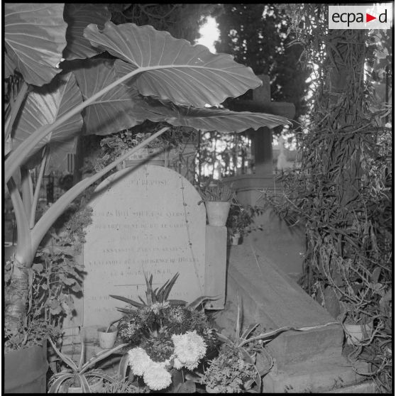 Vie quotidienne de soldats de la territoriale à Douera. [Description en cours]