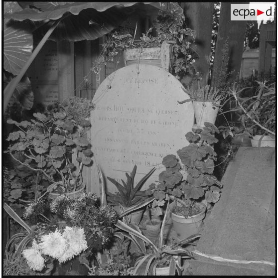 Vie quotidienne de soldats de la territoriale à Douera. [Description en cours]