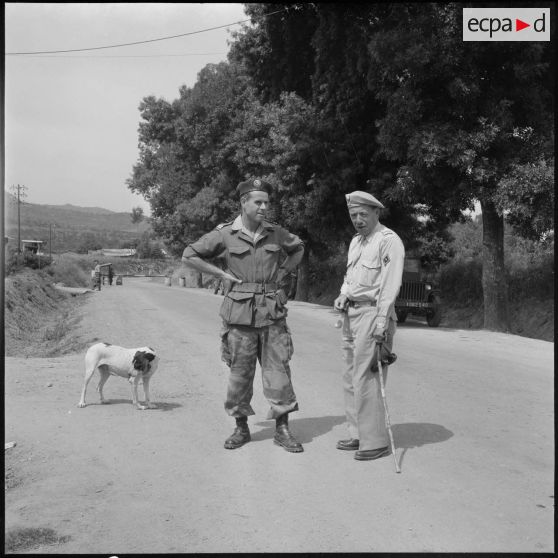 Le 13e RD à Freha. [Description en cours]