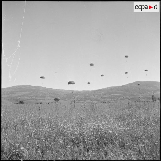 Le 13e RD à Freha. [Description en cours]