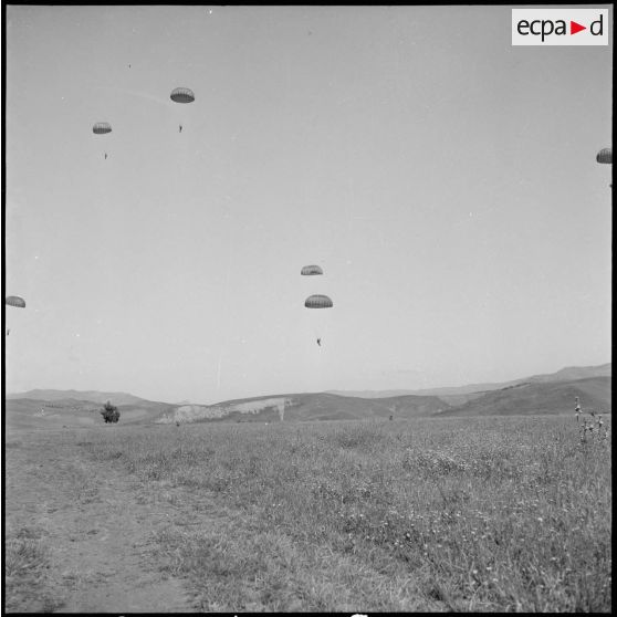 Le 13e RD à Freha. [Description en cours]