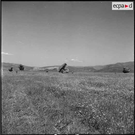 Le 13e RD à Freha. [Description en cours]