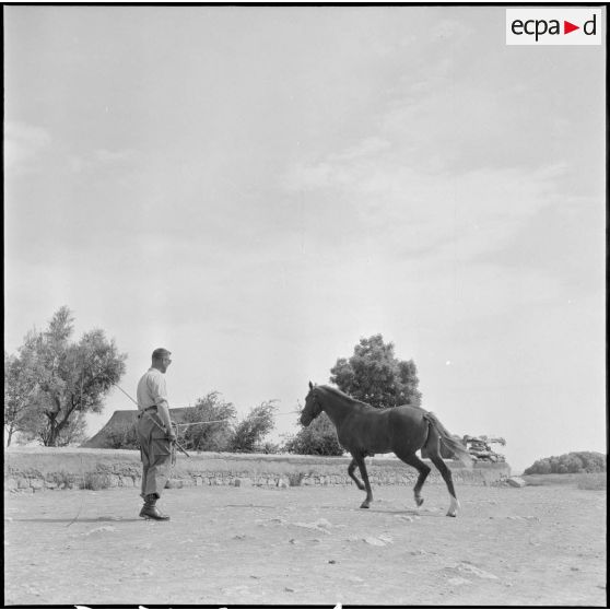 Détachement du 9e groupe de spahis algériens (9e GSA). [Description en cours]