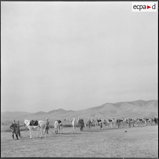 Détachement du 9e groupe de spahis algériens (9e GSA). [Description en cours]