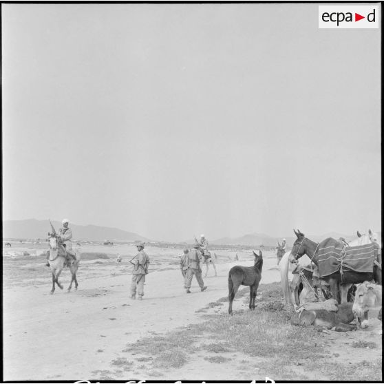 Détachement du 9e groupe de spahis algériens (9e GSA). [Description en cours]