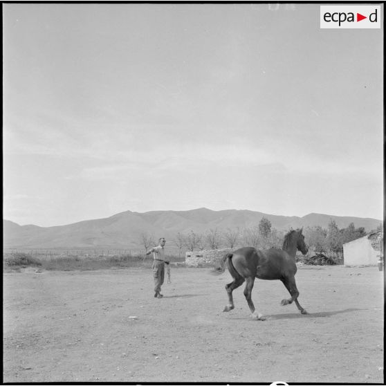 Détachement du 9e groupe de spahis algériens (9e GSA). [Description en cours]