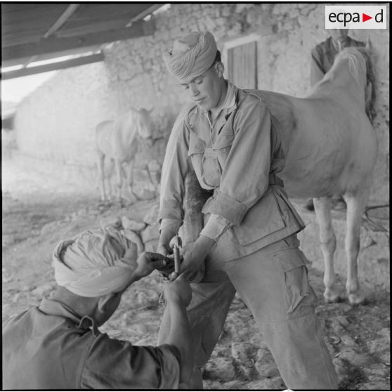 Détachement du 9e groupe de spahis algériens (9e GSA). [Description en cours]