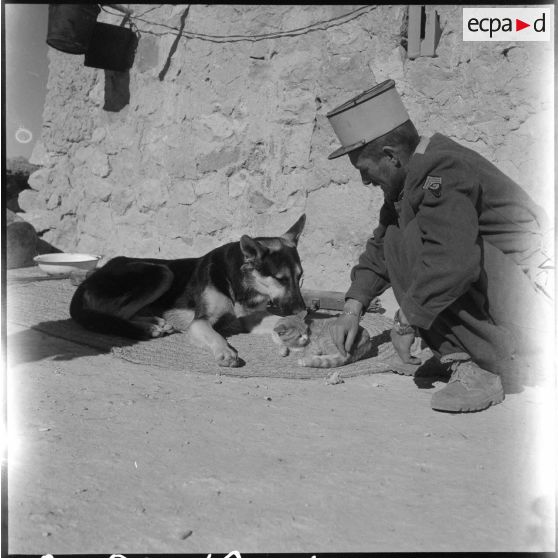 Unité stationnée en zone montagneuse, composée d'un peloton cynophile. [Description en cours]