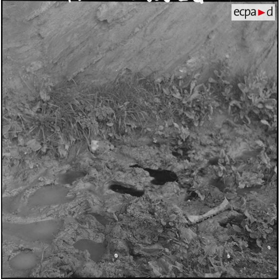 Opération avec la 1re compagnie du 21e bataillon de chasseurs à pied. [Description en cours]