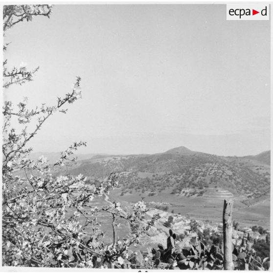 Opération avec la 1re compagnie du 21e bataillon de chasseurs à pied. [Description en cours]