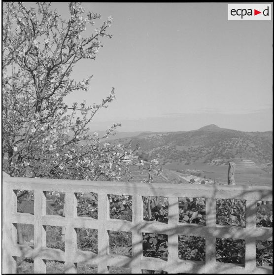 Opération avec la 1re compagnie du 21e bataillon de chasseurs à pied. [Description en cours]