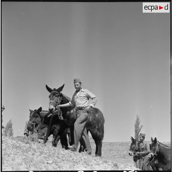 Travaux de la 403e CMRM, section auto-char à Oujda. [Description en cours]