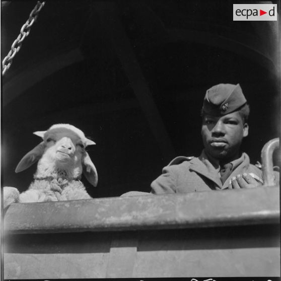 Travaux de la 403e CMRM, section auto-char à Oujda. [Description en cours]