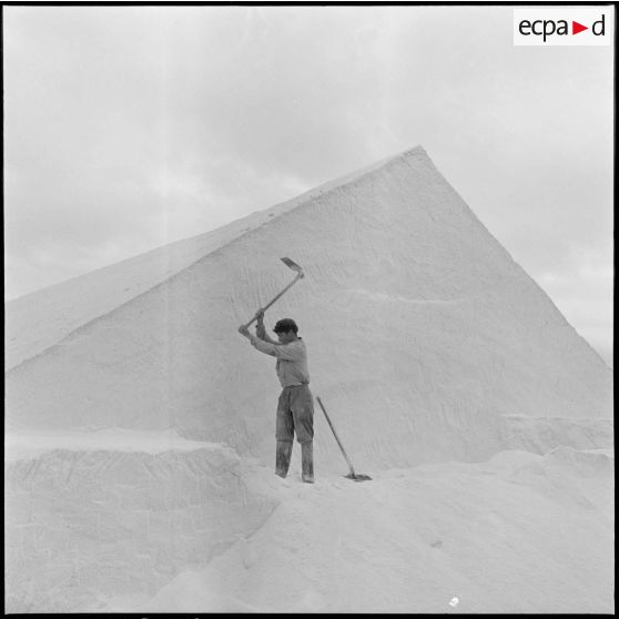 Aménagement des marais salants à Colbert. [Description en cours]