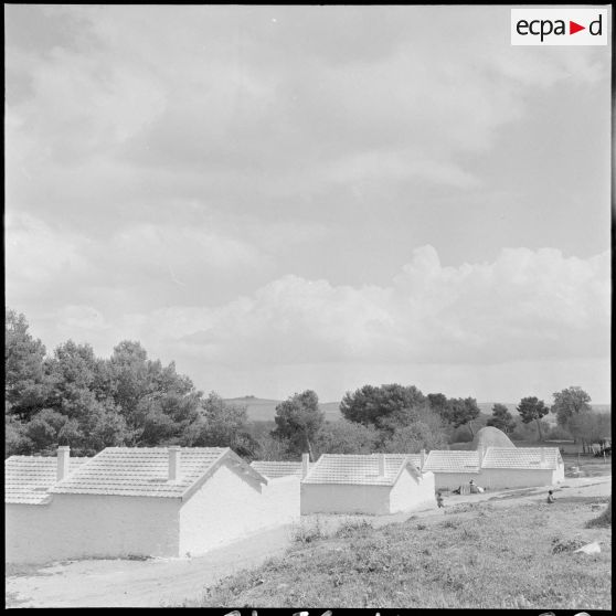 L'exploitation agricole Arnold dans la région de Setif. [Description en cours]
