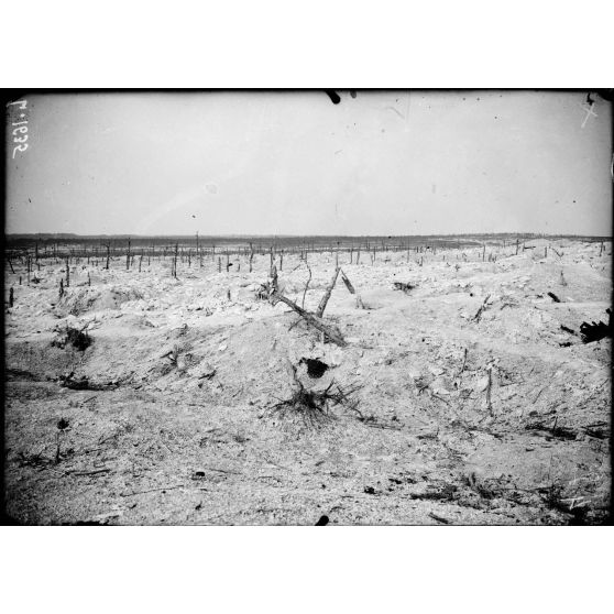 Route de Perthes à Souain. Marne. Panorama des parallèles de départ devant le Trou Bricot avant l'attaque de septembre 1915. [légende d'origine]