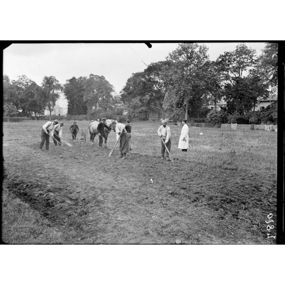 Saint-Maurice (Seine). Hôpital militaire n°5 bis. Convalescents de l'hôpital exécutant des travaux de labour. [légende d'origine]