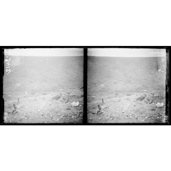 Verdun, le Bois du Chauffour. [légende d'origine]