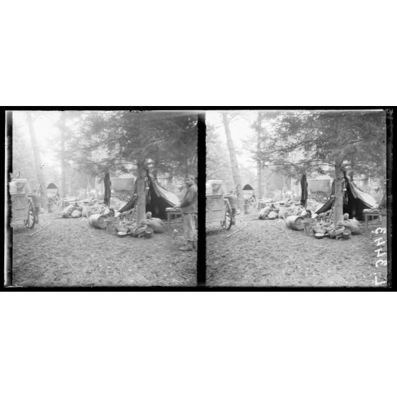 Bois de Gentelles (Somme). Cantonnement d'artillerie sous bois. [légende d'origine]