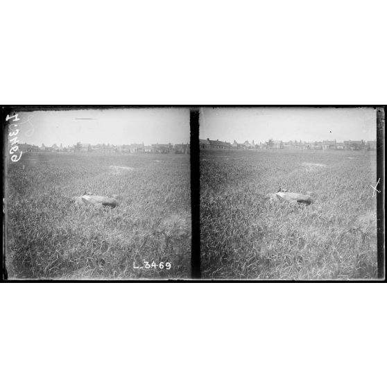 Devant Villers-Bretonneux (Somme). Cadavre d'un soldat anglais. [légende d'origine]