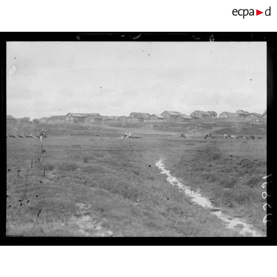 Mezen. Vue générale [légende d'origine]