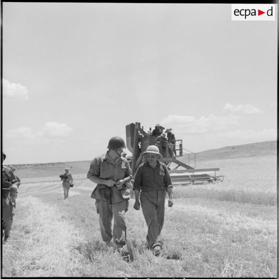 Un soldat du 421e RAA et un ouvrier durant les moissons dans le département de Batna.