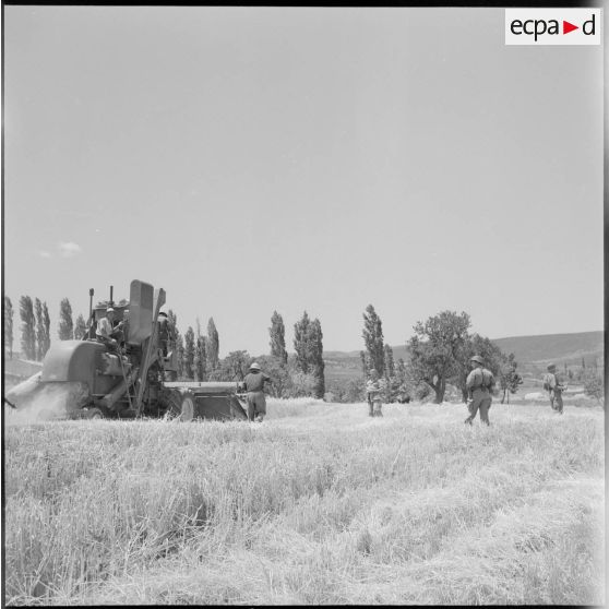 Protection des moissons dans le département de Batna.