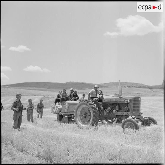 Transport des sacs de céréales dans le département de Batna.