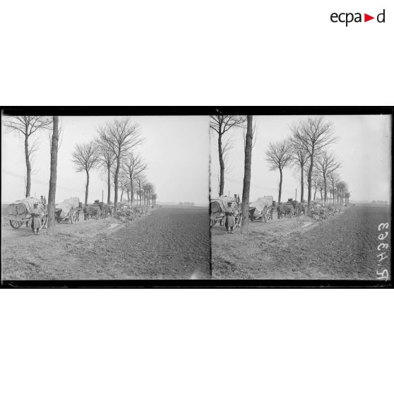 Bois du Domont-Desrainées (Somme). La 64e DI monte en ligne, défilé du 339e d’infanterie. [légende d’origine]