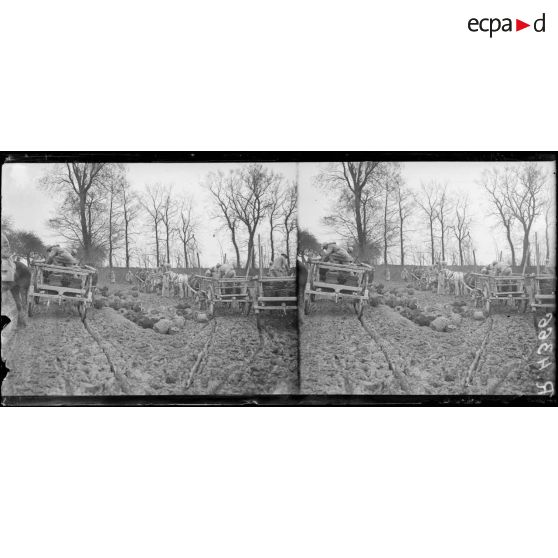 Près Louvrechy (Somme). Arrivée des fils de fer barbelés. [légende d’origine]