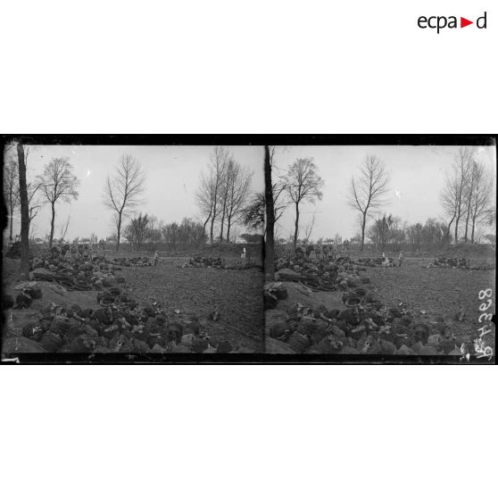 Près Louvrechy (Somme). Arrivée des fils de fer barbelés. [légende d’origine]