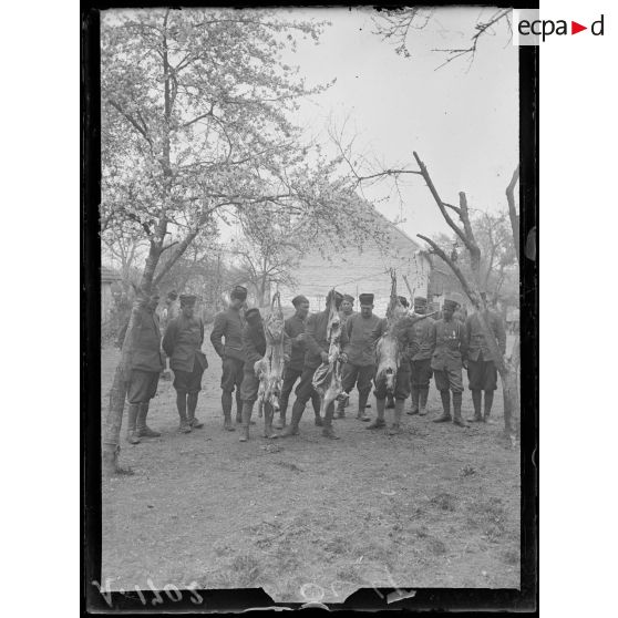 Vouzy. Marne. Fête de la Division Marocaine. Dépeçage des moutons. [légende d'origine]