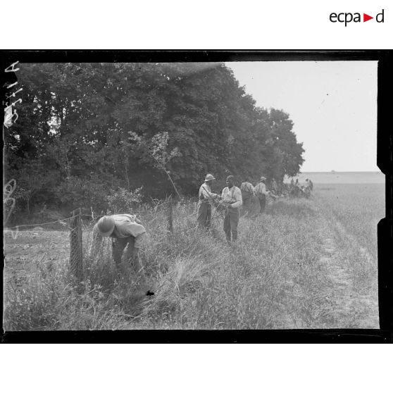 Soudé Ste Croix (Marne). Troupes noires à l'instruction. Pendant la grande halte : corvée de bois. [légende d'origine]