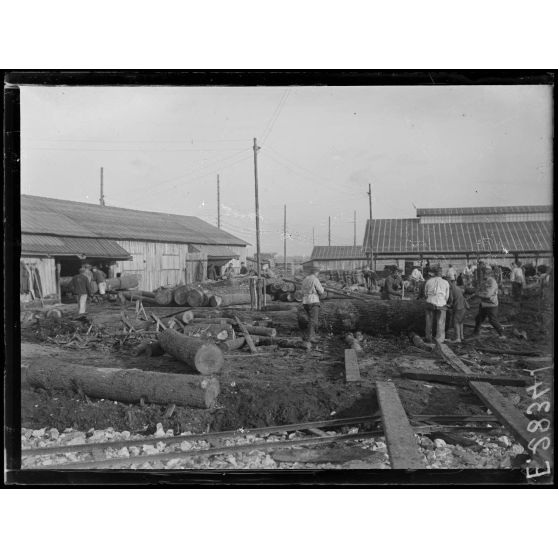 Vitry le François. Marne. Les prisonniers allemands roulent les arbres. [légende d'origine]