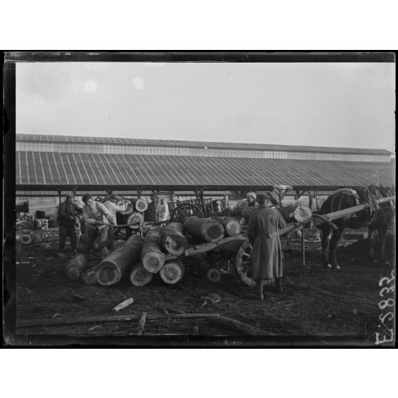 Vitry le François. Marne. Les prisonniers allemands déchargeant les arbres. [légende d'origine]