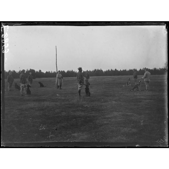 Melette. Marne. Chenil militaire. Premier exercice de dressage. [légende d'origine]