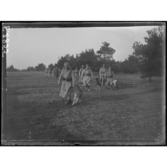 Melette. Marne. Chenil militaire. Promenade des chiens. [légende d'origine]