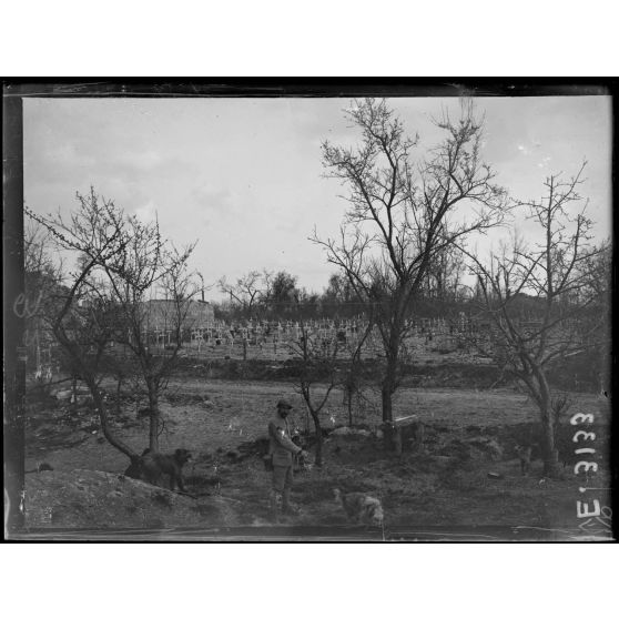 Saint Hilaire le Grand. Marne. Chiens de liaison dans le village. [légende d'origine]