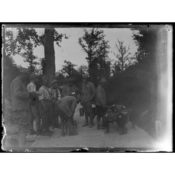 Moiremont. Marne. Chenil de guerre. Les chiens porteurs. [légende d'origine]