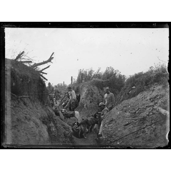 Région de la Harazée. Marne. La soupe apportée par les chiens dans les tranchées. Au retour, les chiens rapportent le linge sale des soldats. [légende d'origine]