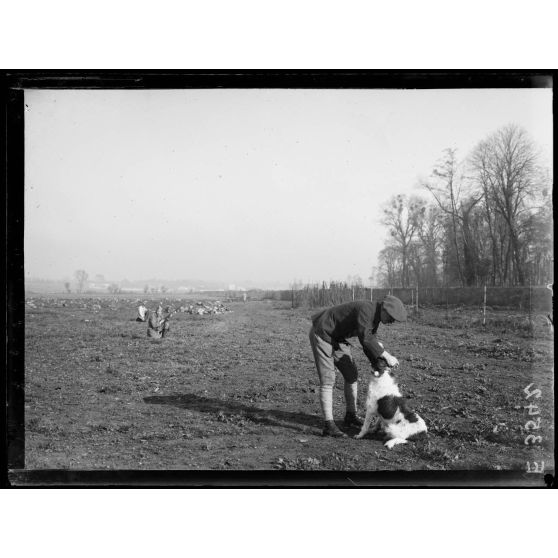Paris. Hôpital militaire canin. Dressage d'un chien de guerre. [légende d'origine]