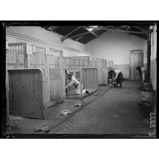 Paris. Hôpital militaire canin de la Bleue Bross. Le lavage des boxes. [légende d'origine]