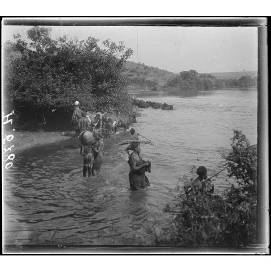 La Wima, près de N'Gaoundéré. Les rives de la Wina. [légende d'origine]