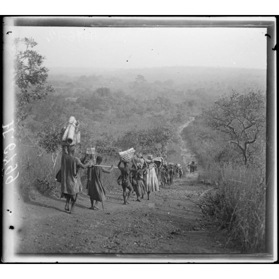 Route de Tibati à N'Gaoundéré. Aspect de la route à environ 9 km de Kaigama-Tekel. [légende d'origine]