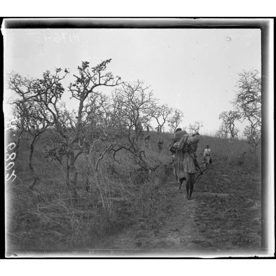 Route de Tibati à N'Gaoundéré. La route à 1h au nord de Mandjia. [légende d'origine]