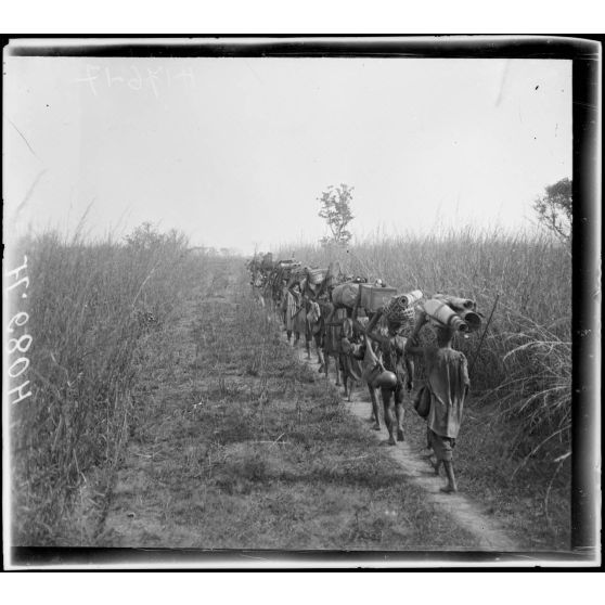 Route de Tibati à N'Gaoundéré. Aspect du pays à 3h au nord de Mandjia. [légende d'origine]