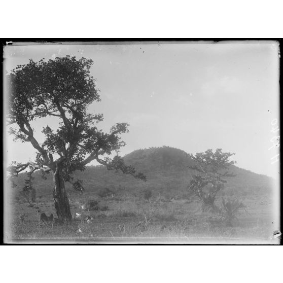 Piste de Garoua à Tschamba. Tschéboa. Monrtagne de Tschéboa. [légende d'origine]